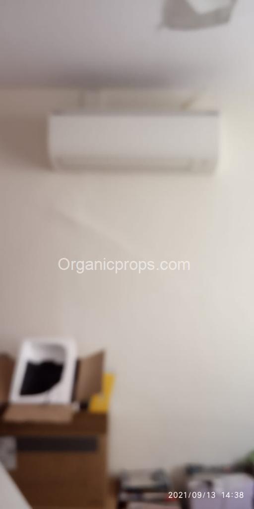 WhatsApp Image 2023-11-07 at 220231107170219996.jpeg